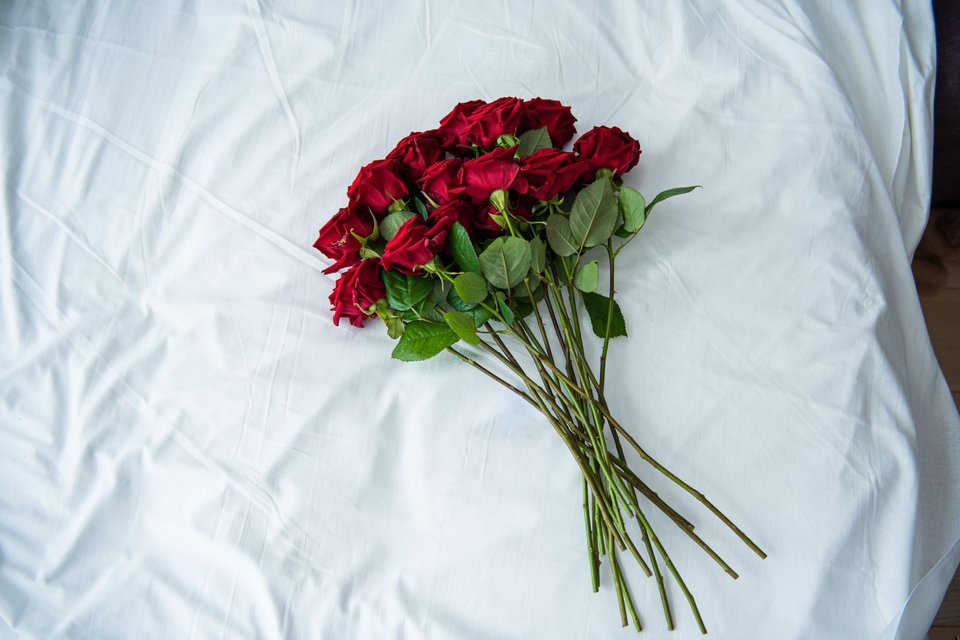 Κόκκινα τριαντάφυλλα Αγιος Βαλεντίνος