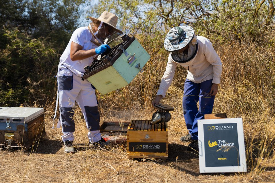 Φωτογραφία: Jim Georgosopoulos