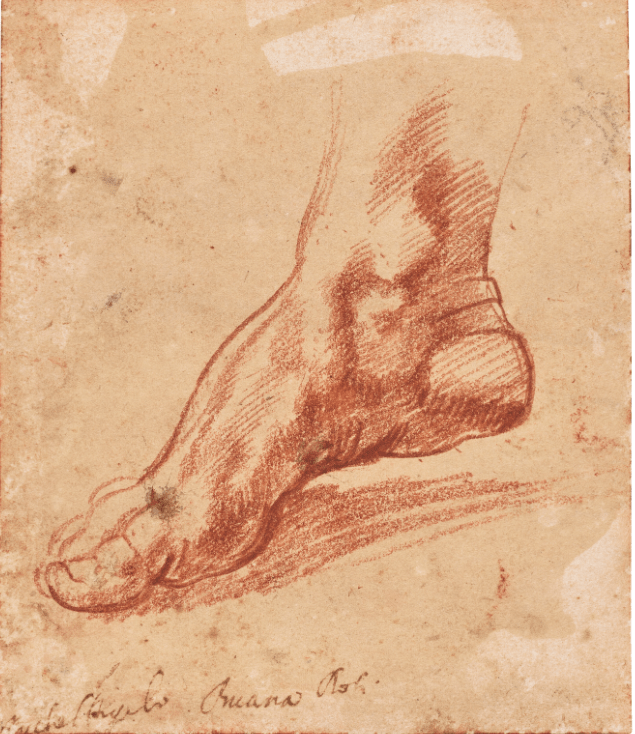 Η αρχική εκτίμηση ήταν ότι θα πωληθεί 1,5 - 2 εκατομμύρια δολάρια, αλλά, μετά από μάχη προσφορών, το σχέδιο πωλήθηκε έναντι 27,2 εκατομμυρίων δολαρίων, τιμή που αποτελεί ρεκόρ για έργο του Μιχαήλ Άγγελου