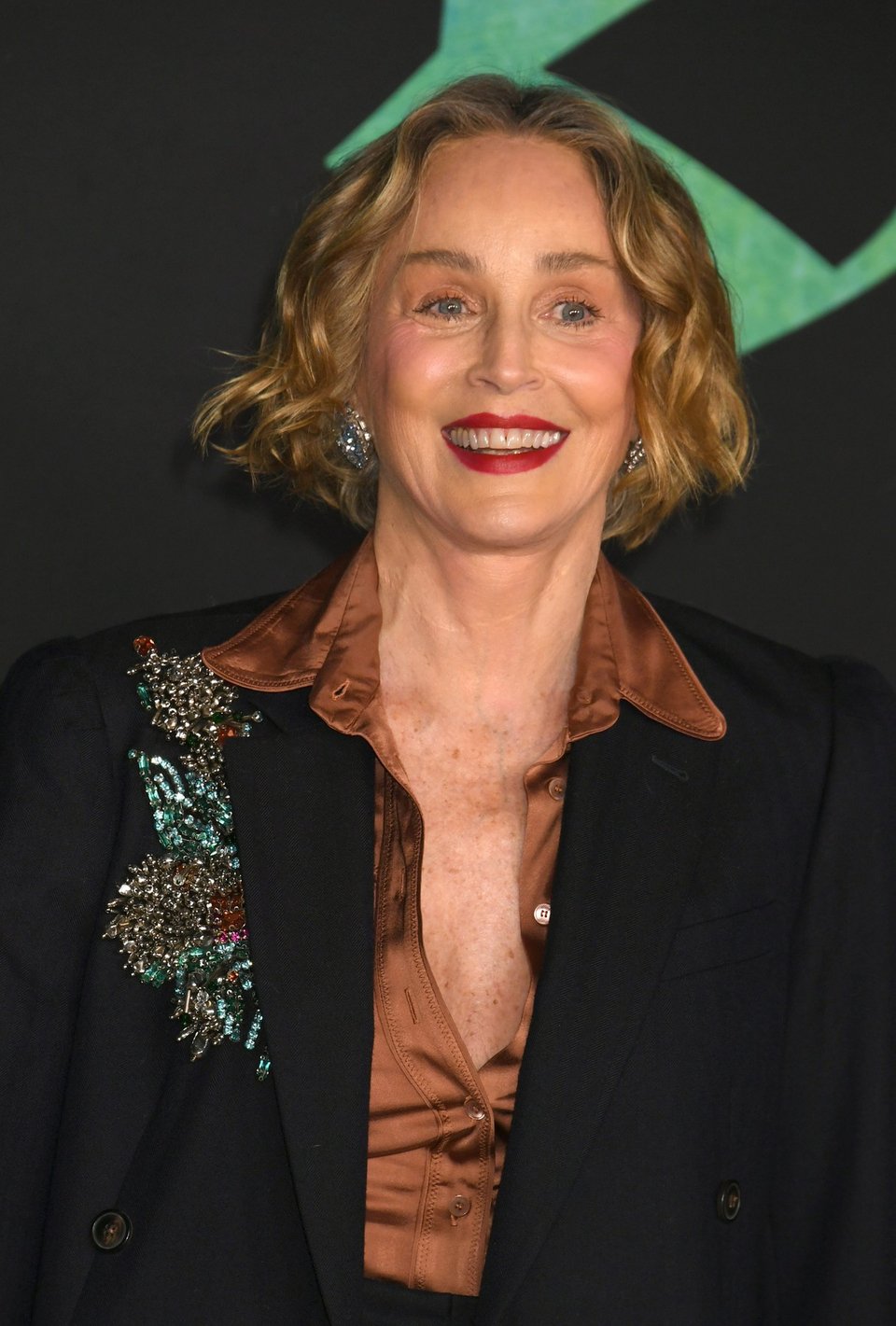 Η Σάρον Στόουν στην πρεμιέρα ταινίας στο Λος Άντζελες 