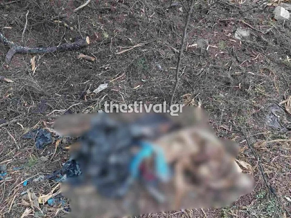 Το σημείο που βρέθηκε η σορός της γυναίκας / Φωτογραφία thestival