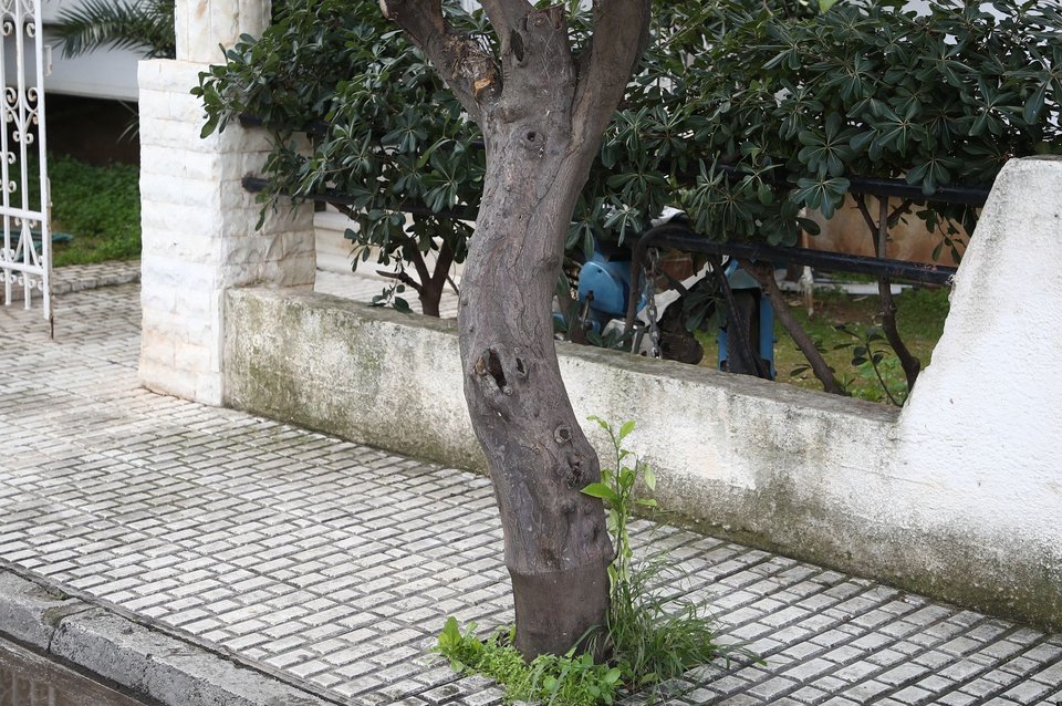 Σοκ το δυστύχημα με την 72χρονη στην Ελευσίνα, τραγική φιγούρα η κόρη 