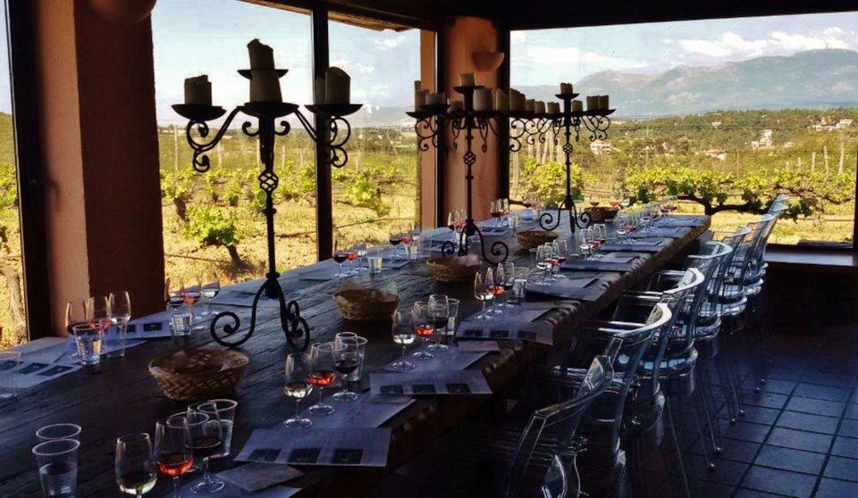 Γευσιγνωσία κρασιών του κτήματος Κοκοτού με θέα τους αμπελώνες 