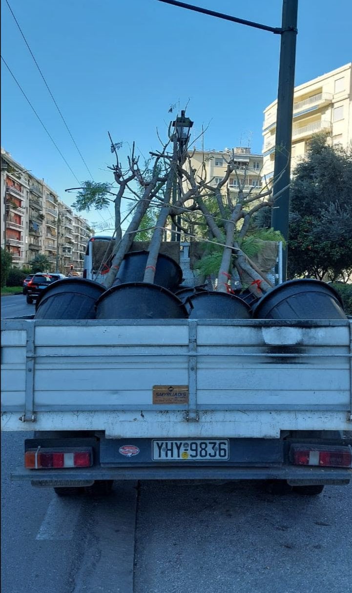 Νέες γιακαράντες στη Βασιλέως Κωνσταντίνου