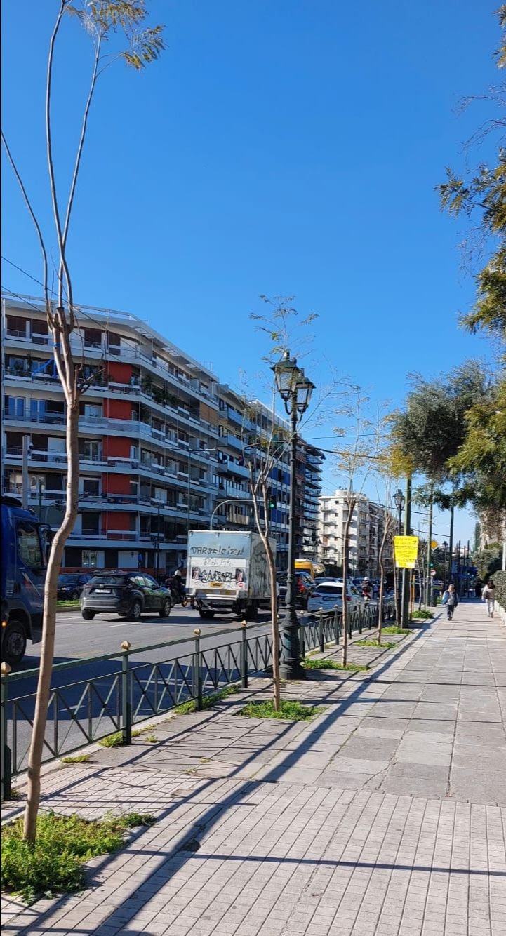 Νέες γιακαράντες στη Βασιλέως Κωνσταντίνου