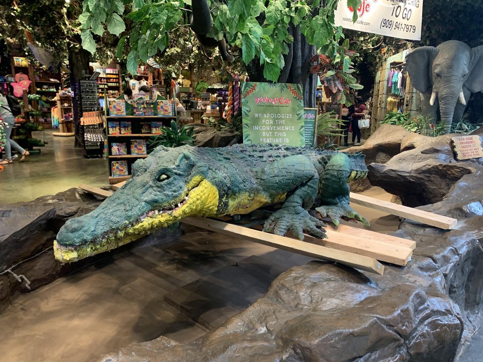 Δεν πρόκειται για θεματικό πάρκο, αλλά για το τελευταίο εναπομείναν «Καφέ του Τροπικού Δάσους» στην Καλιφόρνια, χωμένο μέσα στο εμπορικό κέντρο Όνταριο Μιλς, δίπλα σε ένα κατάστημα κοσμημάτων και ένα κέντρο εξυπηρέτησης τηλεπικοινωνιών / INSTAGRAM