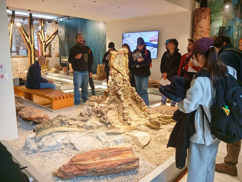 Φωτογραφία: Μουσείο Απολιθωμένου Δάσους Λέσβου  