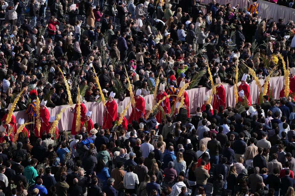 Κυριακή των Βαΐων σήμερα στο Βατικανό - AP Photo/Andrew Medichini