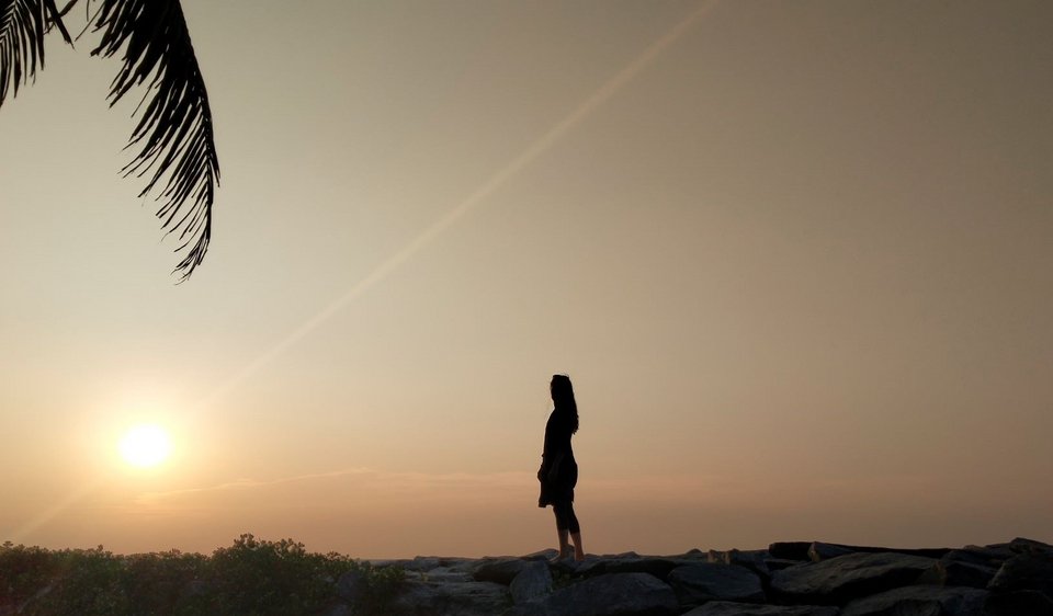 Η συγκέντρωση αυτή αποτελεί μέρος ενός σύγχρονου πειράματος που βασίζεται σε μια παλιά ολλανδική συνήθεια: την πρακτική που είναι γνωστή ως «dusking» / SHUTTERSTOCK