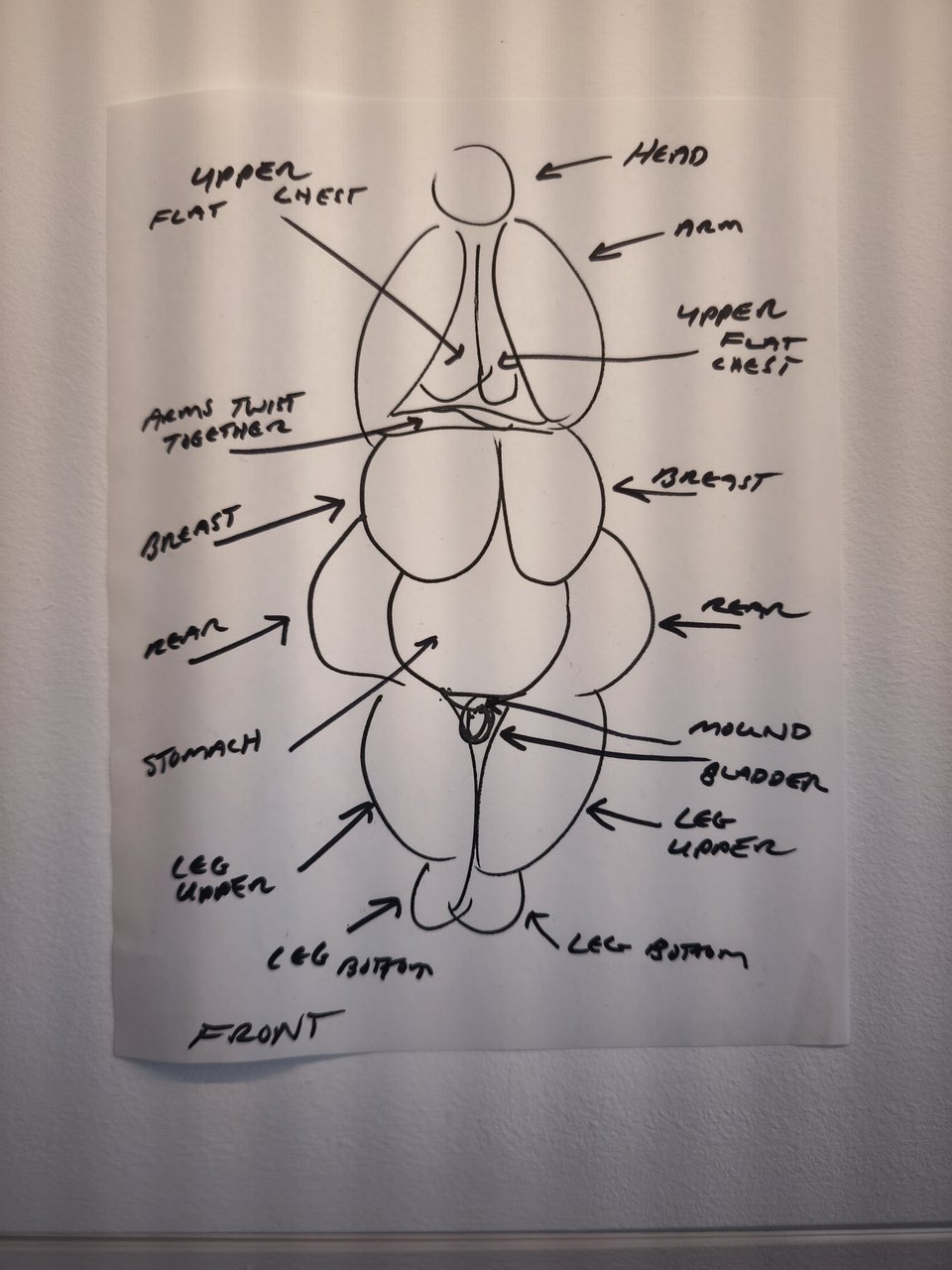 Ενα σκίτσο ακτινογραφία της Αφροδίτης του Κουνς