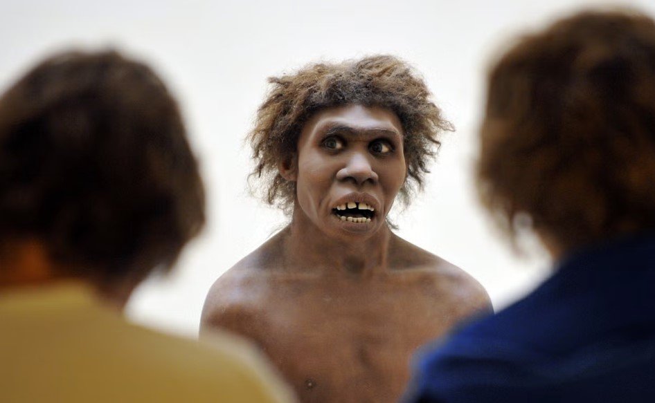 Επιστήμονες επιχειρούν να ανασυνθέσουν το πώς μπορεί να ακούγονταν οι πρόγονοι του ανθρώπου πριν από δεκάδες χιλιάδες ή ακόμη και εκατομμύρια χρόνια / GETTY