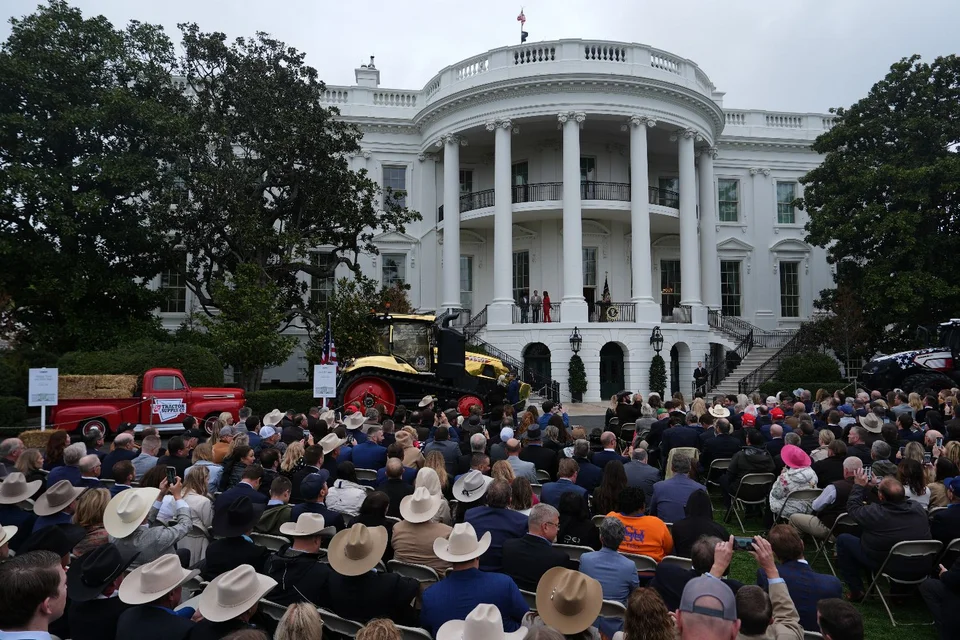 agrotes leukos oikos 3.jpg