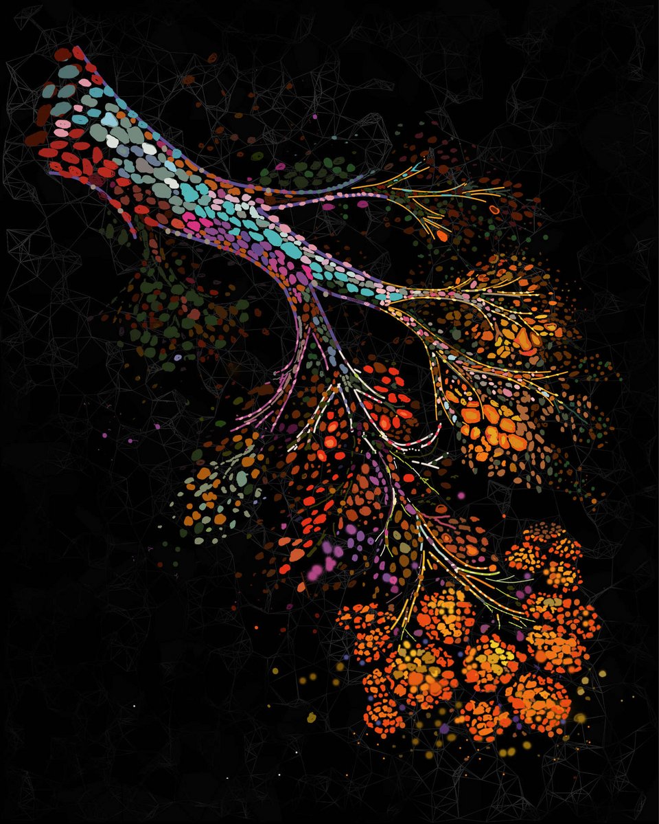 Οπτική αναπαράσταση ενός γηρασμένου ανθρώπινου μαστού, που δείχνει ένα διακλαδιζόμενο δίκτυο πόρων, το οποίο αρχικά βρίσκεται μέσα σε ένα πυκνό μικροπεριβάλλον πλούσιο σε κύτταρα, αλλά με την πάροδο του χρόνου αντικαθίσταται σταδιακά από ιστό πλούσιο σε λίπος / Credit: Nature Aging/Raza Ali