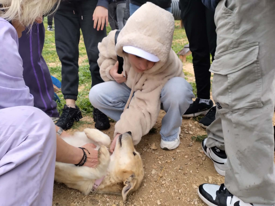 / Φωτογραφία: ΔΙΚΕΠΑΖ  