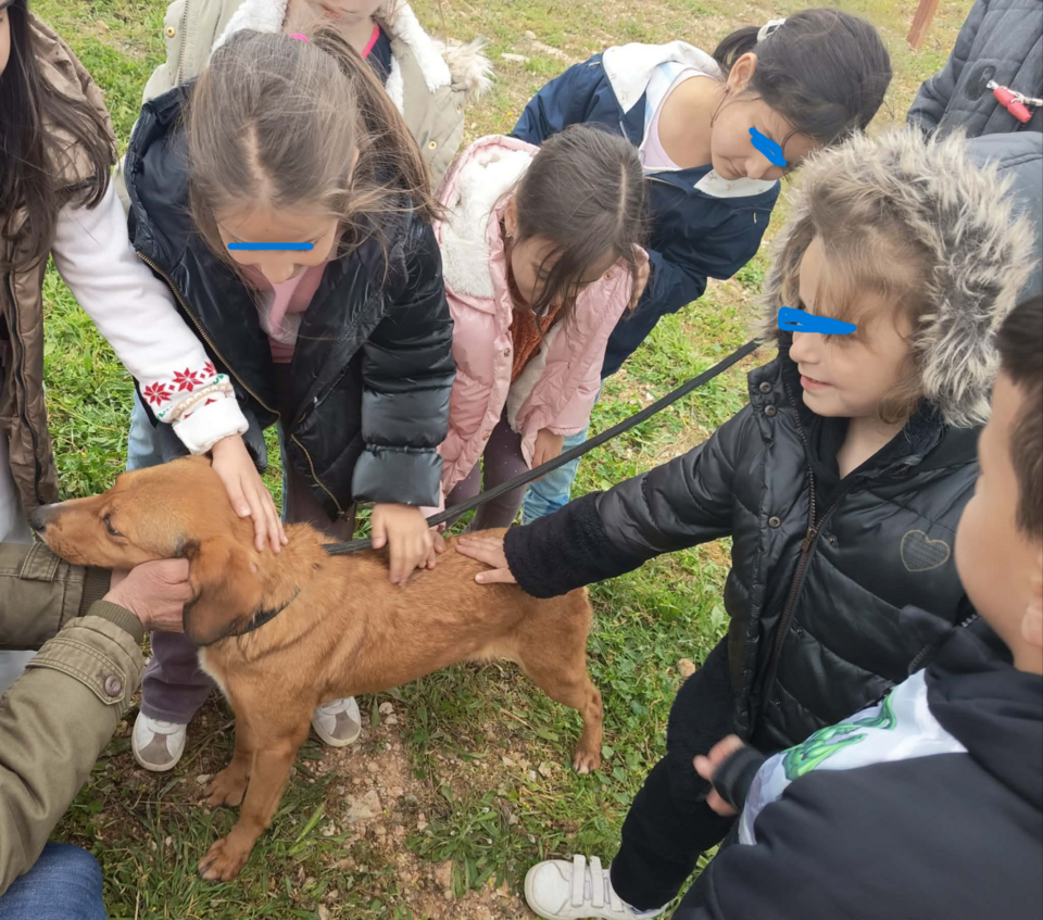 / Φωτογραφία: ΔΙΚΕΠΑΖ  
