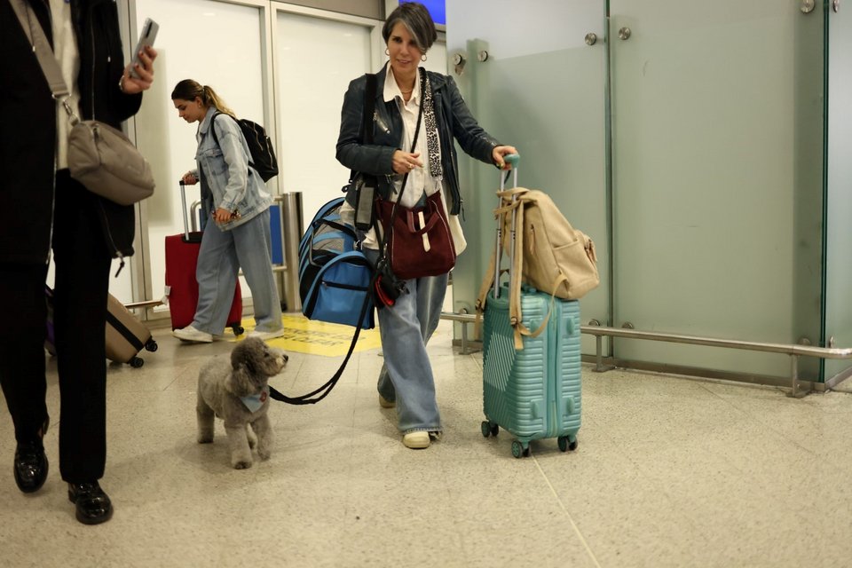Επαναπατρισμός Ελλήνων πολιτών με τα κατοικίδιά τους από το Ντουμπάι / Φωτογραφία: EUROKINISSI / Δανάη Δαυλοπούλου  