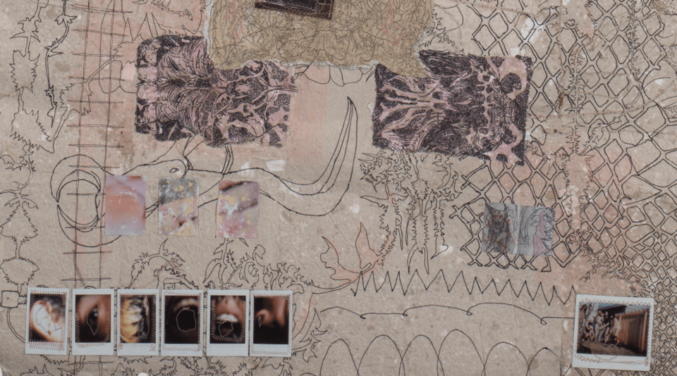  Ευγενία Φραγκολιά, λεπτομέρεια έργου I found Myself In The Grips Of Your Teeth III, 2025. Μικτή τεχνική σε χειροποίητα χαρτιά, ψηφιακή εκτύπωση, πολαρόιντ, ύφασμα, 240 x 100 εκ. Παραχώρηση της καλλιτέχνιδας και της CITRONNE Gallery 