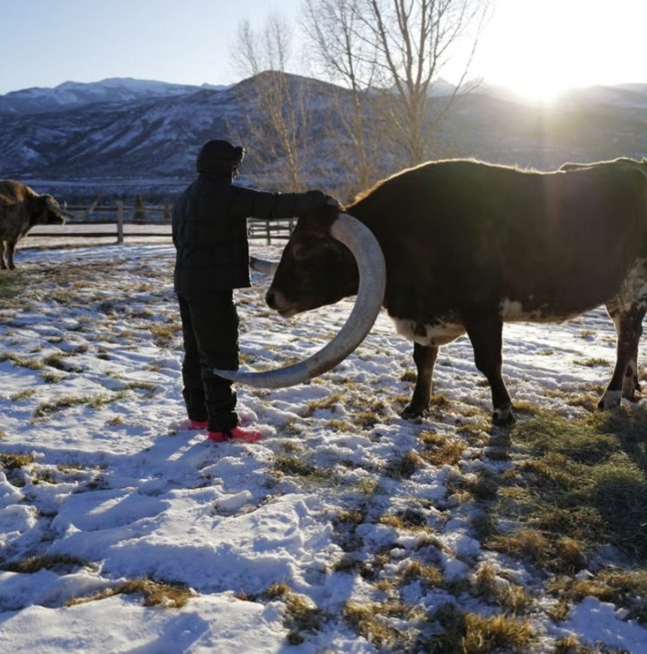 Ο Χάμιλτον έκανε τους θαυμαστές της F1 να γελάσουν όταν αποκάλυψε ότι μία από τις αγελάδες του ονομάζεται Max, όπως ο αντίπαλός του, Max Verstappen