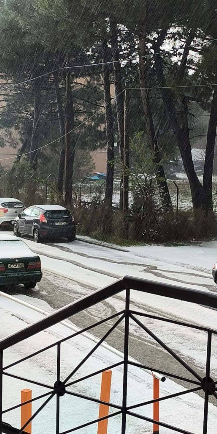 Φωτογραφία: FB