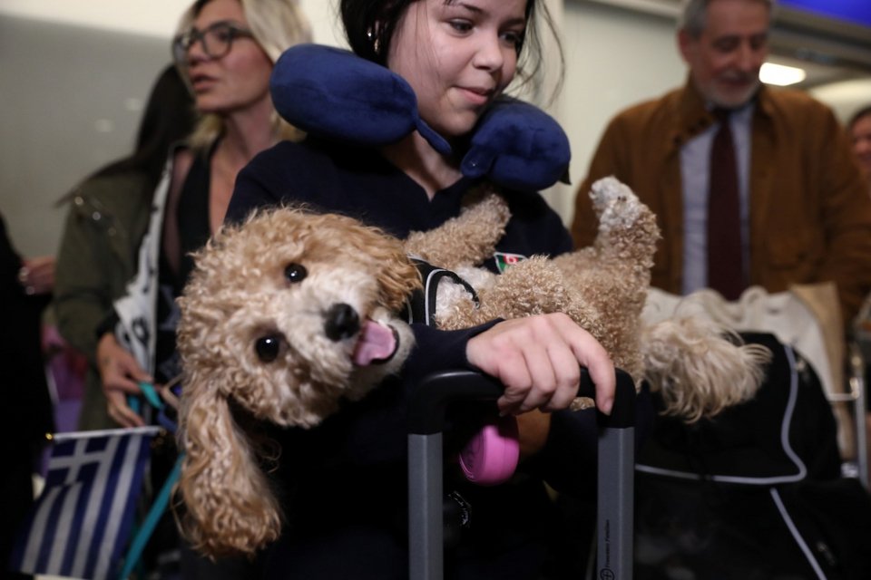 Επαναπατρισμός Ελλήνων πολιτών με τα κατοικίδιά τους με ειδική πτήση της Aegean από το Άμπου Ντάμπι στο αεροδρόμιο «Ελευθέριος Βενιζέλος» / Φωτογραφία: EUROKINISSI / Δανάη Δαυλοπούλου 