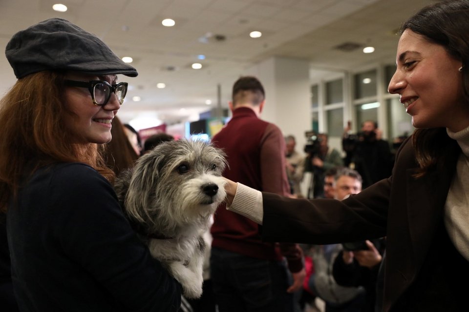 Επαναπατρισμός Ελλήνων πολιτών με τα κατοικίδιά τους από το Ντουμπάι / Φωτογραφία: EUROKINISSI / Δανάη Δαυλοπούλου   