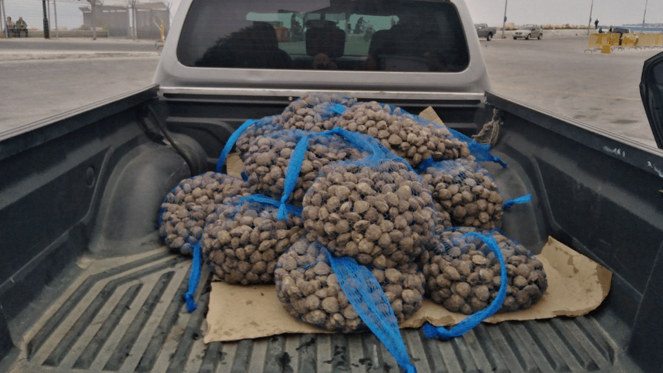 Φωτογραφία: Λιμεναρχείο Μυτιλήνης