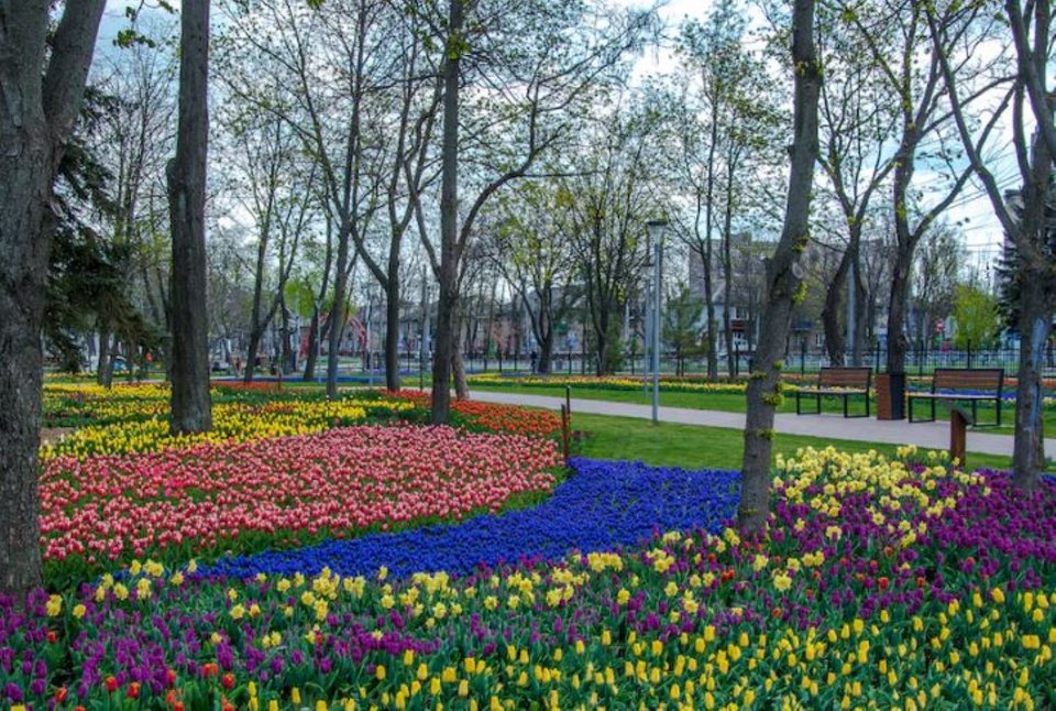  Το πάρκο Βεσέλκα, ένα αγαπημένο μέρος για πολλούς κατοίκους της Μαριούπολης. / Φωτογραφία: mariupolrada.gov.ua