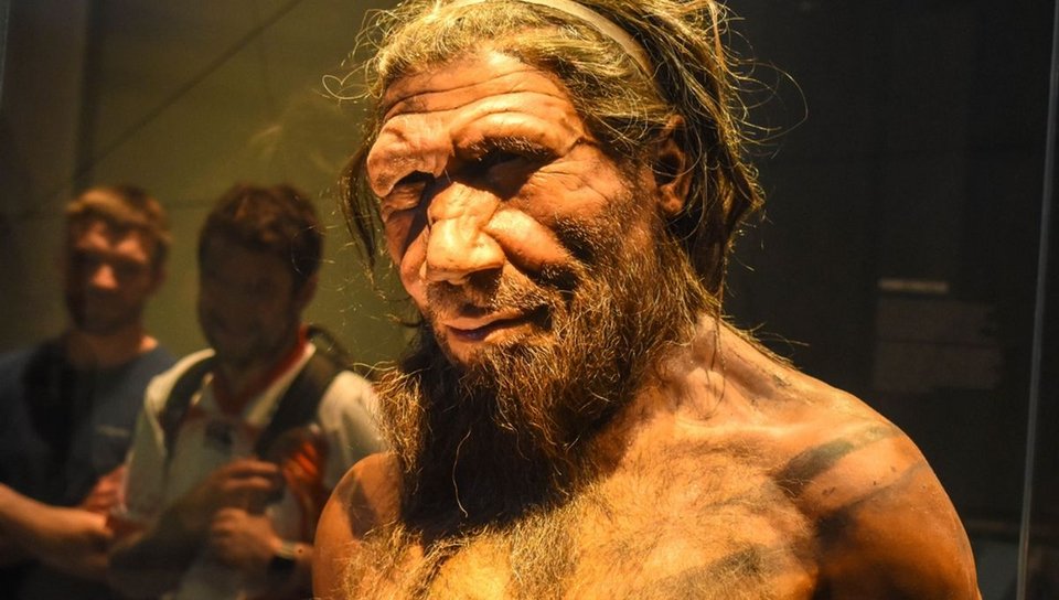 Με βάση παλαιοανθρωπολογικά ευρήματα, απολιθώματα και ανατομικά μοντέλα, ερευνητικές ομάδες προσπαθούν να προσεγγίσουν τον τρόπο με τον οποίο μιλούσαν ή επικοινωνούσαν είδη όπως οι Neanderthals / SHUTTERSTOCK