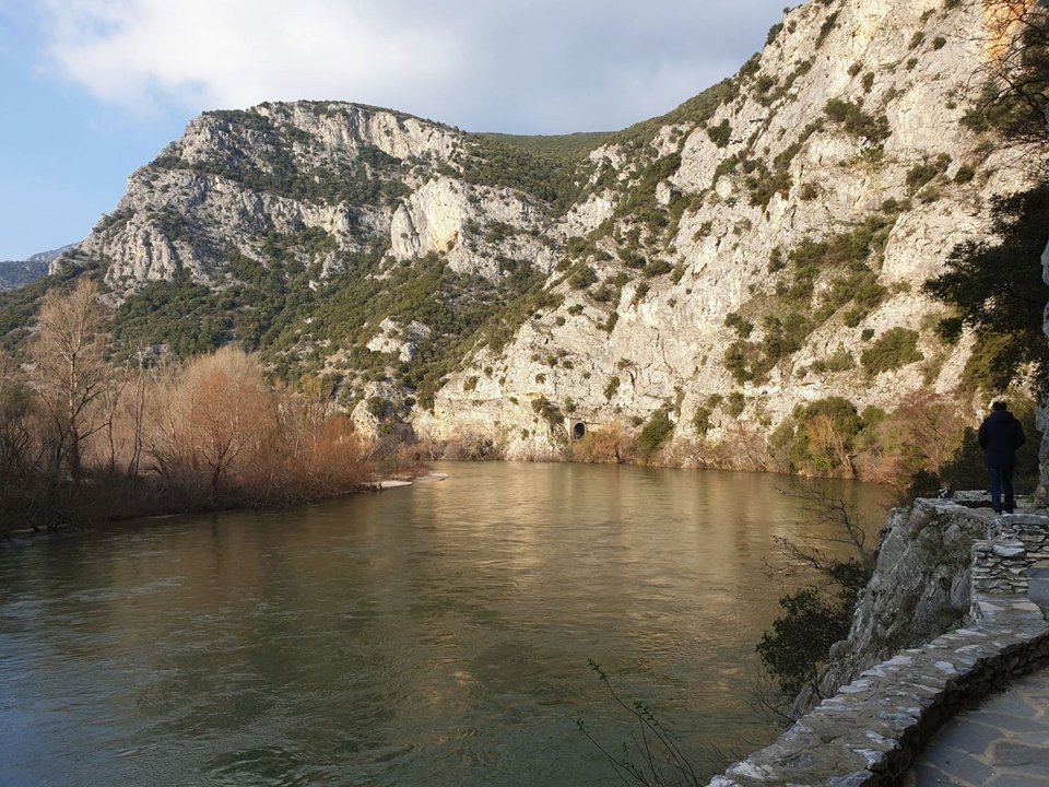 Τα «Στενά του Νέστου», δηλαδή τα 17 χλμ. που διανύει ο ποταμός από τη Σταυρούπολη μέχρι τους Τοξότες έχουν χαρακτηρισθεί ως αισθητικό δάσος που διέπεται από ειδικούς όρους προστασίας