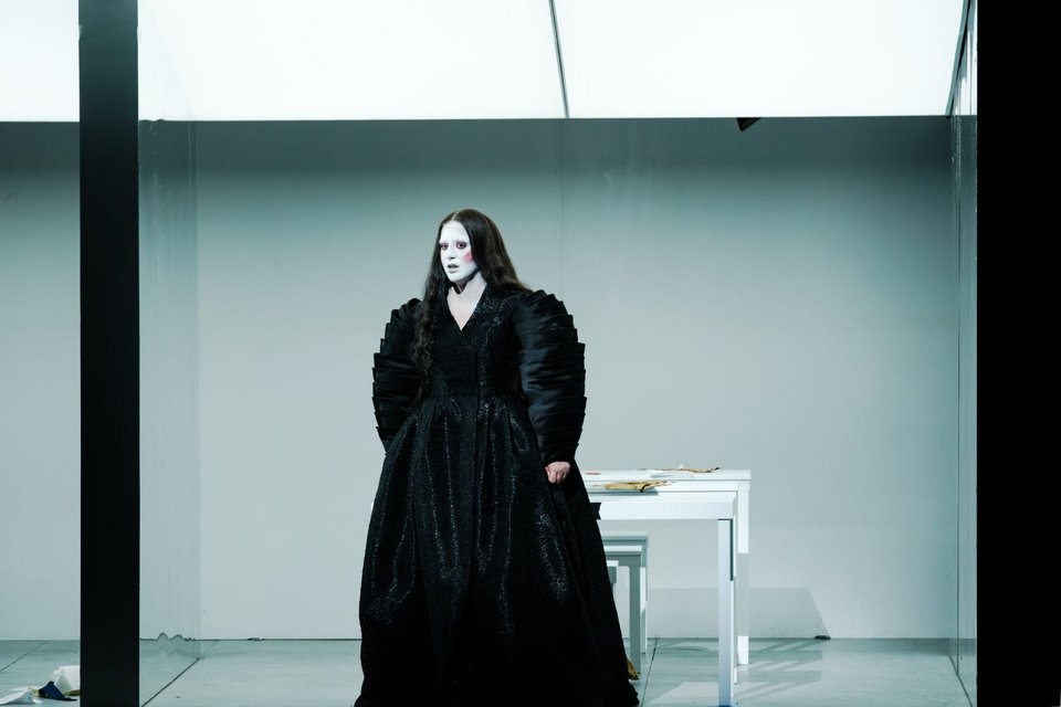 Η Άννα Μπολένα είναι ένα σπάνιο ορόσημο του ιταλικού ρομαντικού ρεπερτορίου, καθώς σηματοδοτεί τη μετάβαση του μπελ κάντο από πεδίο φωνητικής επίδειξης σε ουσιαστικό δραματουργικό εργαλείο