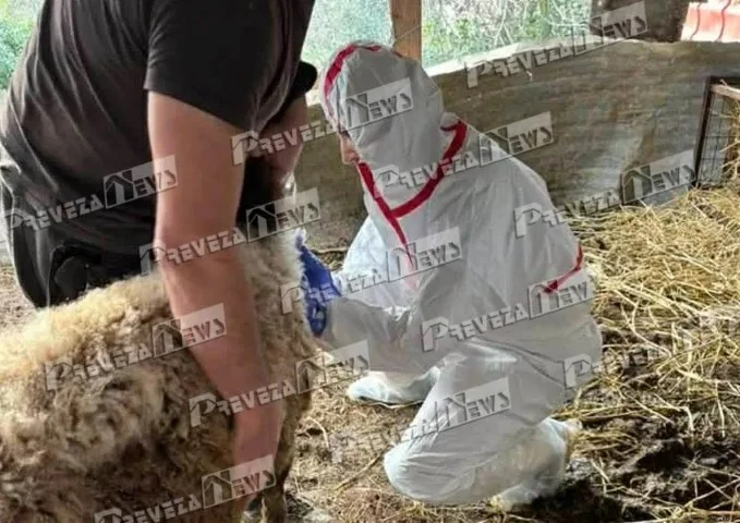 Εικόνα στο ilialive.gr