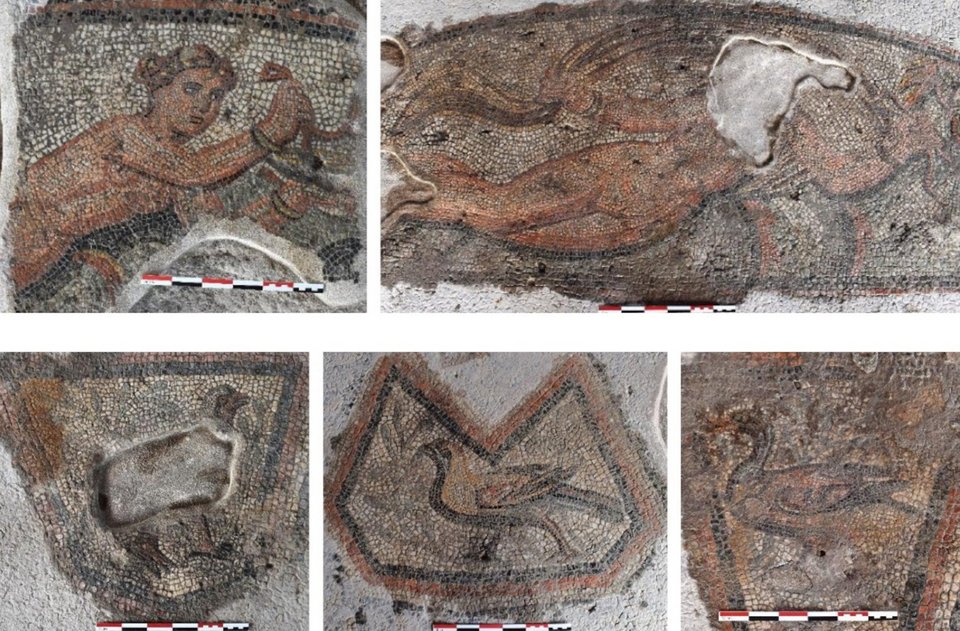 Λεπτομέρειες από γυναικείες μορφές και πτηνά σε διάχωρα ψηφιδωτά δαπέδου της αίθουσας 