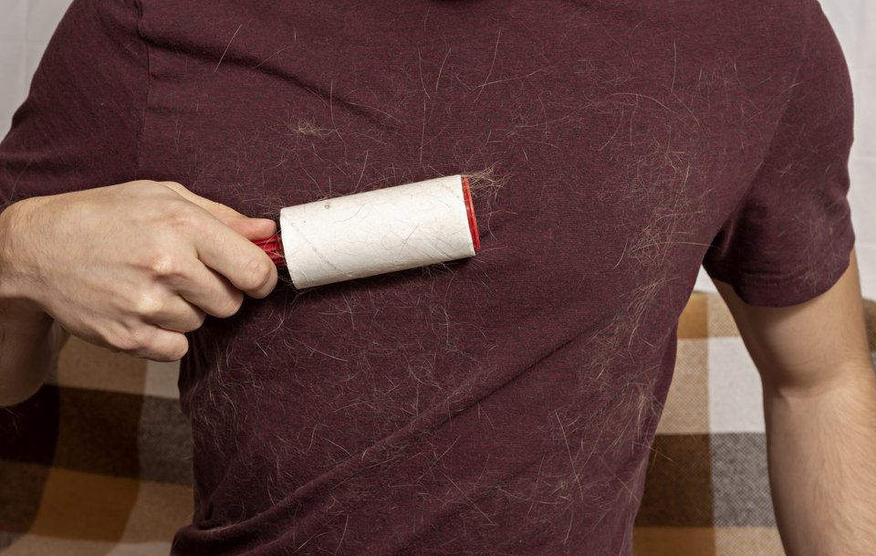 Φωτογραφία: Shutterstock