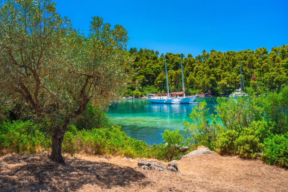 Η αρμονική συνύπαρξη πράσινου και γαλάζιου συνθέτει το ιδανικό σκηνικό για ξεκούραση, δραστηριότητες και θαλάσσιες εξορμήσεις