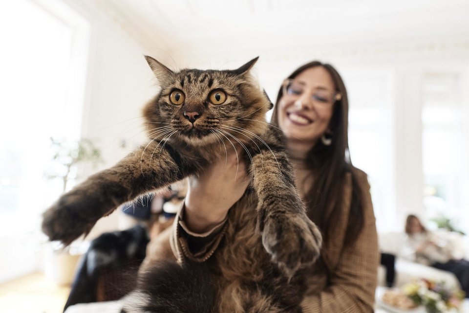 Συνάντηση με επαναπατρισθέντα κατοικίδια και ιδιoκτήτες του από τη Μέση Ανατολή