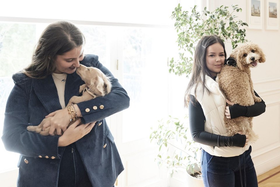 Κατοικίδια στο Μαξίμου