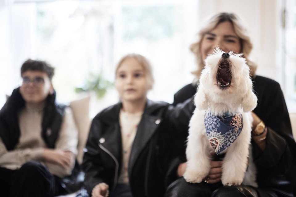 Όλες οι ράτσες στο Μαξίμου