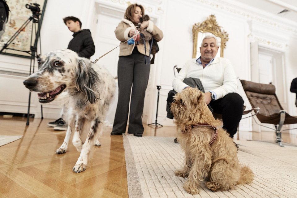 Έλληνες πολίτες που επαναπατρίστηκαν από τη Μέση Ανατολή μαζί με τα ζώα συντροφιάς τους υποδέχτηκε σήμερα ο πρωθυπουργός, Κυριάκος Μητσοτάκης, στο Μέγαρο Μαξίμου.