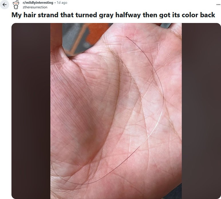 Η viral ανάρτηση στο Reddit