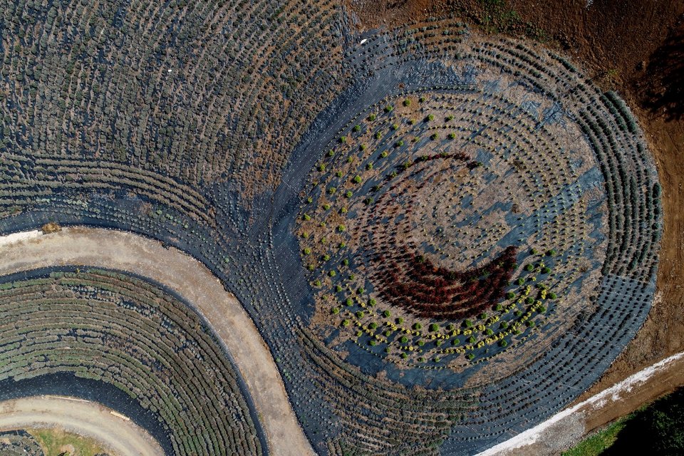 Εναέρια άποψη ενός φυσικού πάρκου που έχει διαμορφωθεί από τον πίνακα του Βίνσεντ βαν Γκογκ «Η Έναστρη Νύχτα» κοντά στο Βισόκο της Βοσνίας Χωράφια με λεβάντα, θάμνους και λίμνες, αναδημιουργούν τον διάσημο πίνακα στη φύση / Φωτογραφία: AP /Armin Durgut