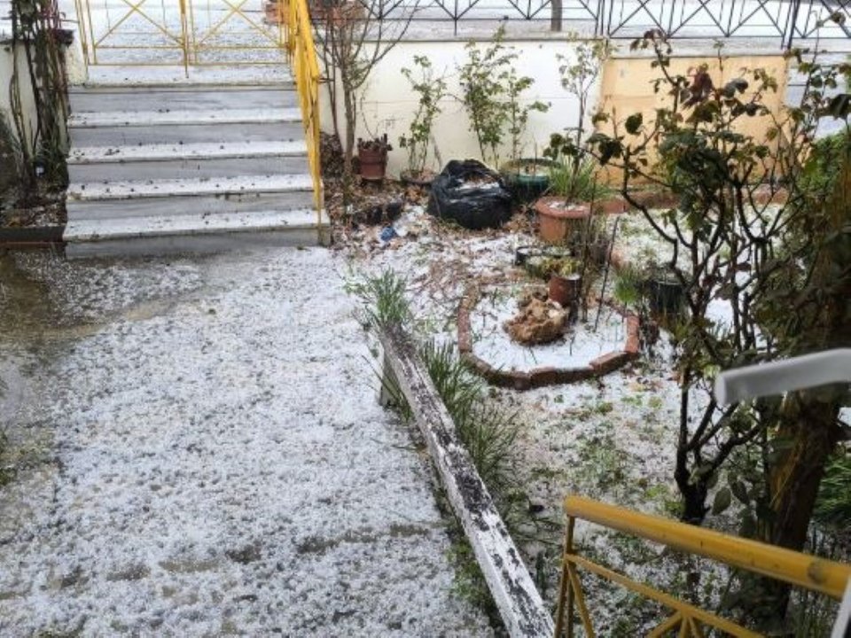 Φωτογραφία: FB 