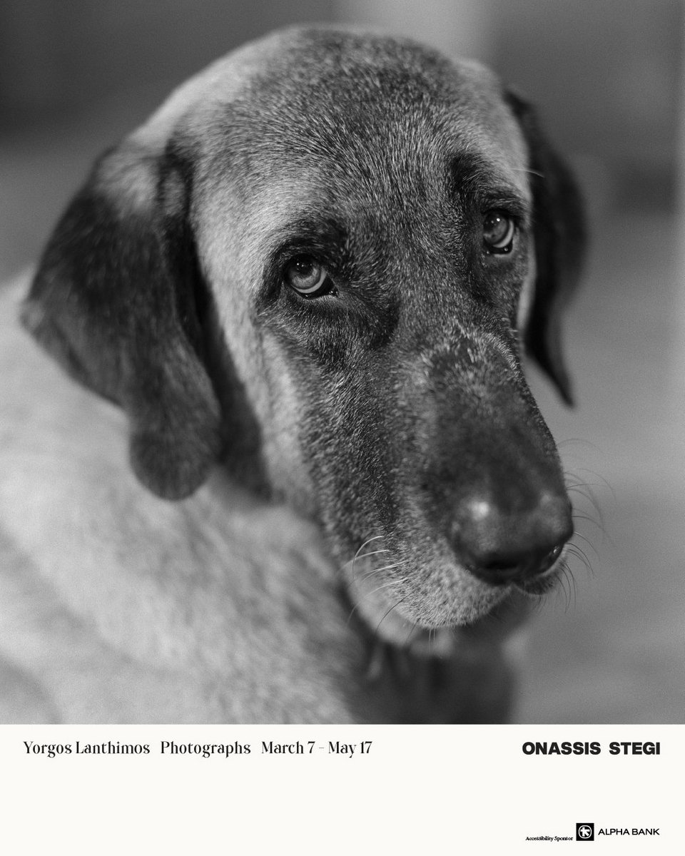 Γιώργος Λάνθιμος