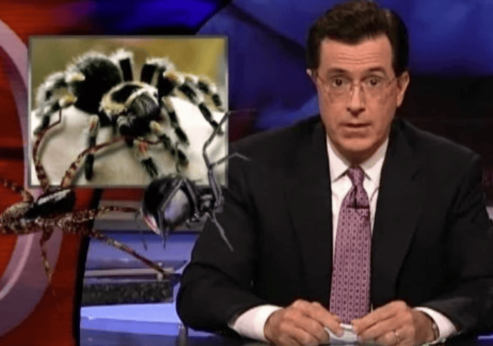 Ένα χαρακτηριστικό παράδειγμα είναι ο Στίβεν Κόλμπερτ, παρουσιαστής και κωμικός, του οποίου το όνομα έχει δοθεί σε περισσότερα από ένα είδη. Ανάμεσά τους περιλαμβάνονται η σφήκα Aleiodes colberti, η αράχνη Aptostichus stephencolberti και ένα υδρόβιο σκαθάρι / ΥΟUTUBE