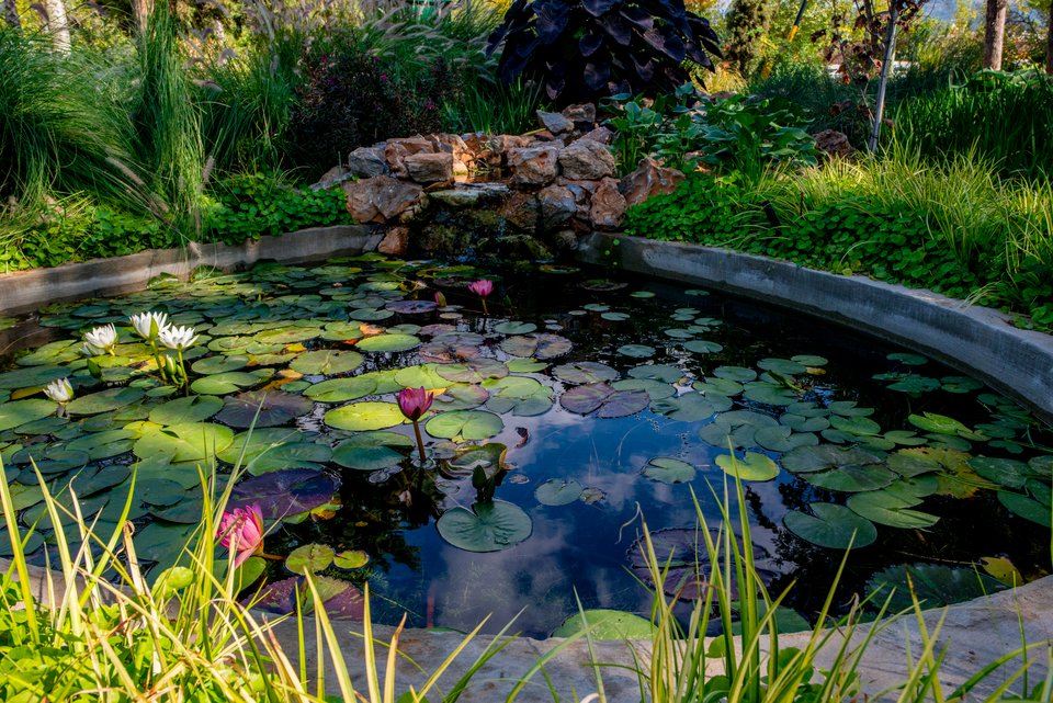 Υγρός Κήπος που ποτίζεται από το ανακτημένο νερό της μονάδας στο φυτώριο Δήμου Αθηναίων 