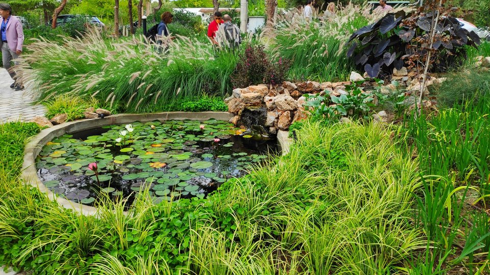 Υγρός Κήπος που ποτίζεται από το ανακτημένο νερό της μονάδας στο φυτώριο Δήμου Αθηναίων 