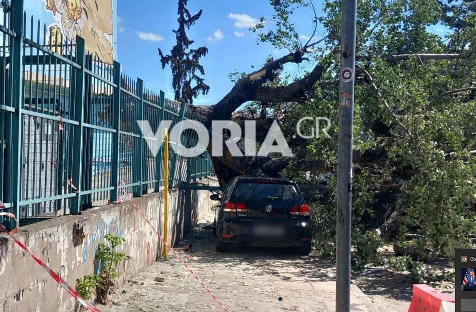 τώση δέντρου σε ΙΧ, στην περιχοή του ΑΧΕΠΑ