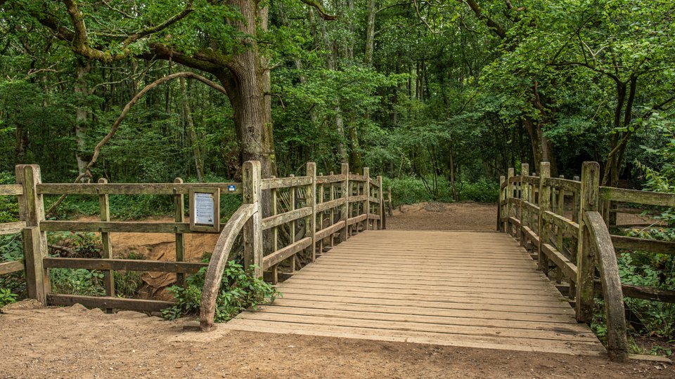 Η γέφυρα του Poohsticks, από όπου προέρχεται το παιχνίδι «Pooh sticks», βρίσκεται στο Δάσος των Εκατό Στρεμμάτων (Hundred Acre Wood) στο Ashdown Forest