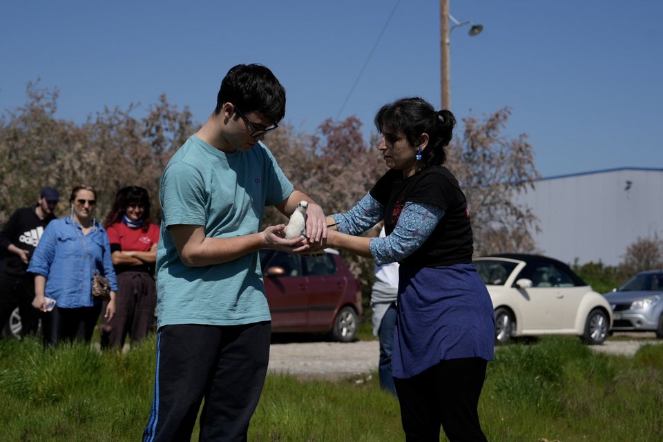 Απελευθέρωση άγριου πουλιού / ΑΠΕ - ΜΠΕ