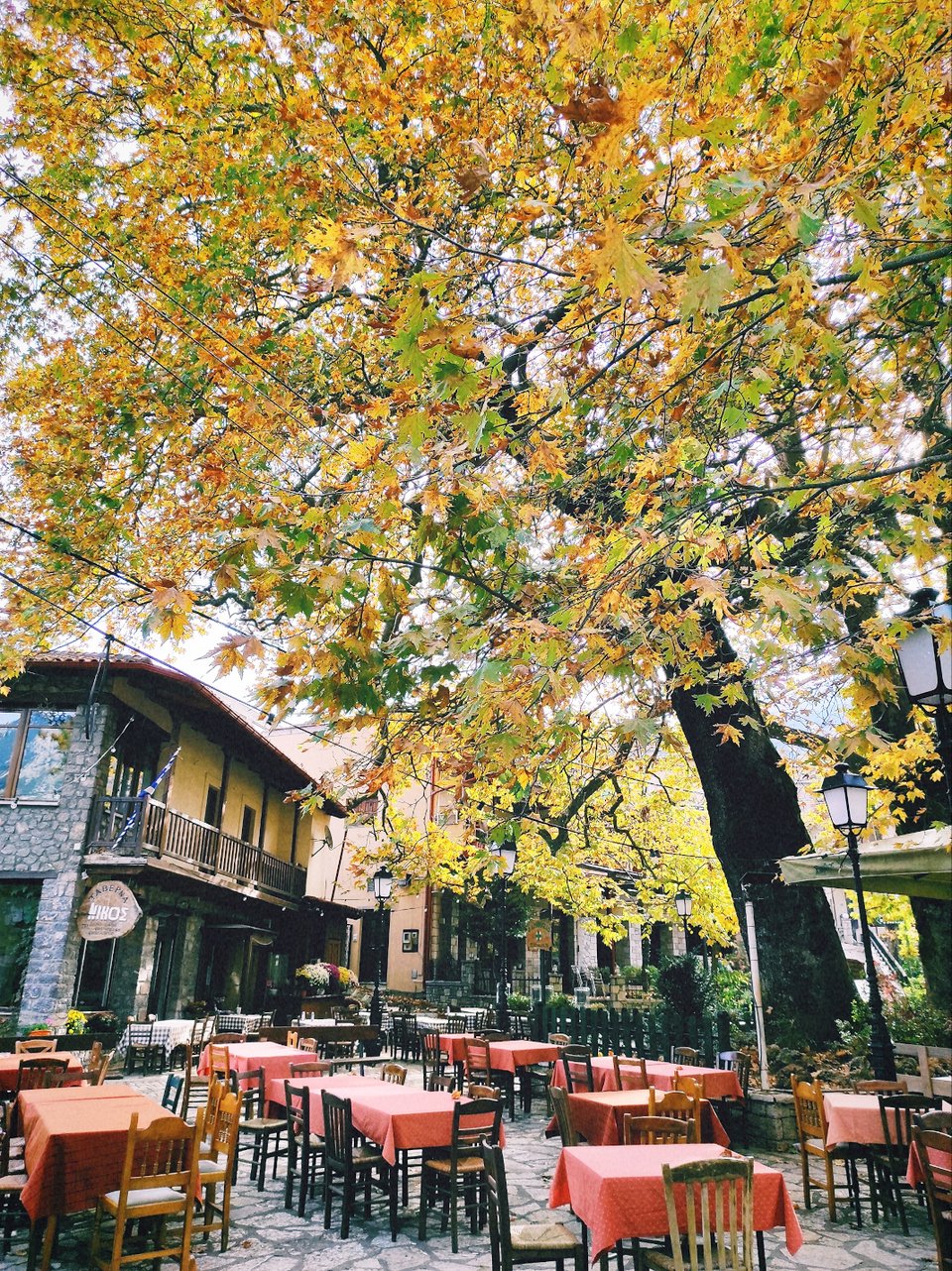 Στην κεντρική πλατεία του χωριού κάτω από τα πλατάνια