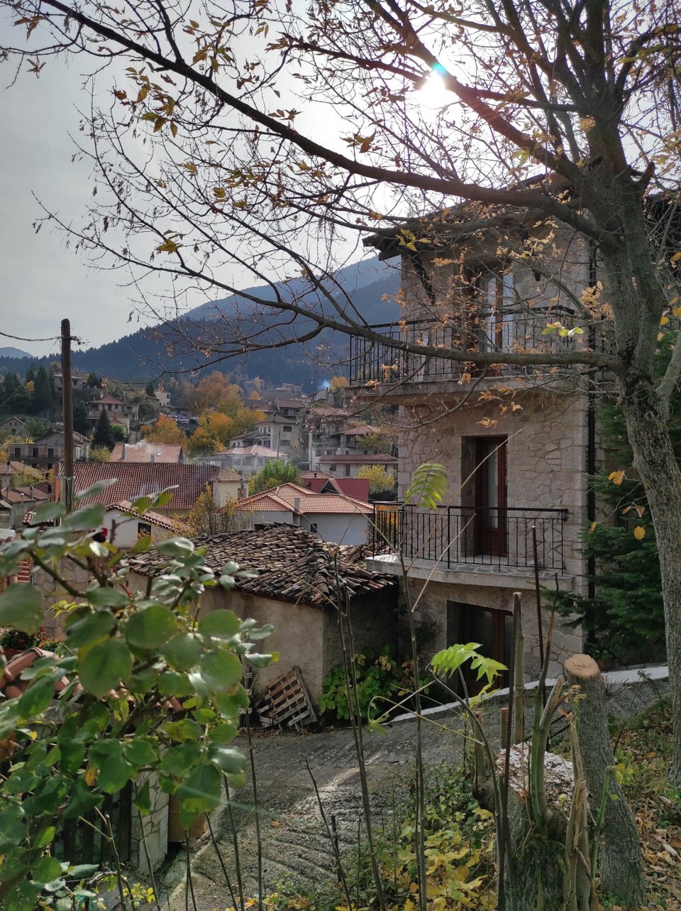 Αγόριανη Παρνασσού